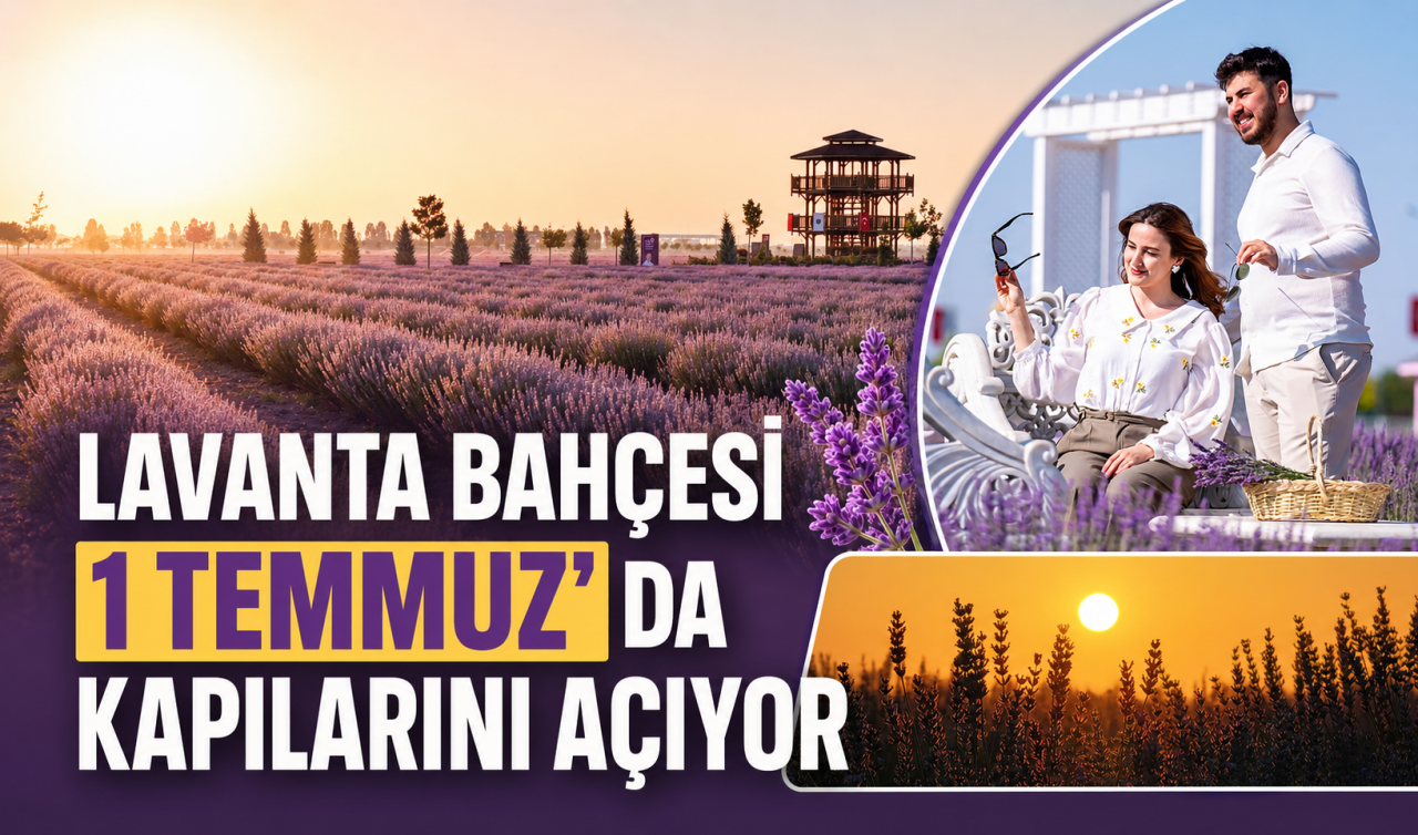 Karatay Lavanta Bahçesi kapılarını açıyor