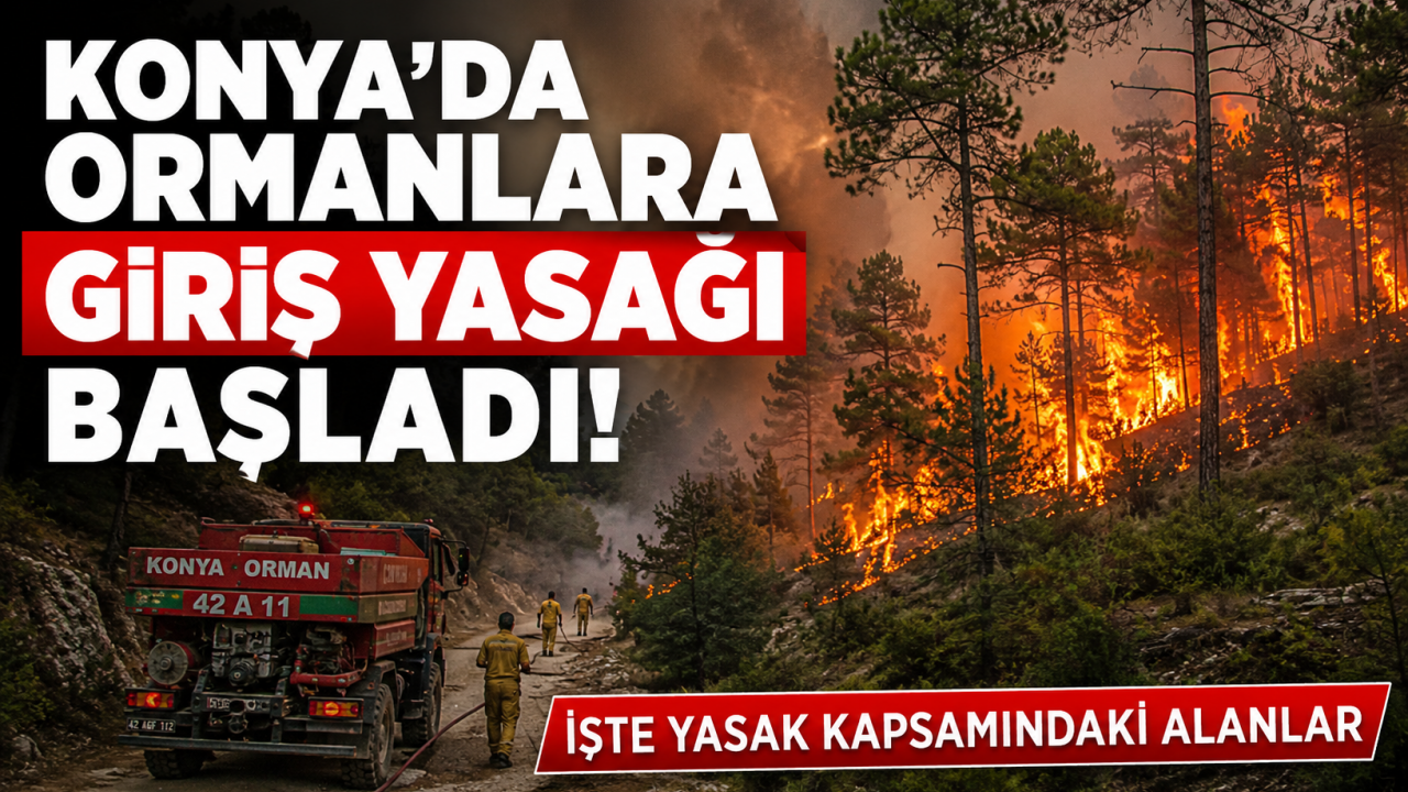 Konya’da ormanlara giriş yasağı başladı! İşte yasak kapsamındaki alanlar