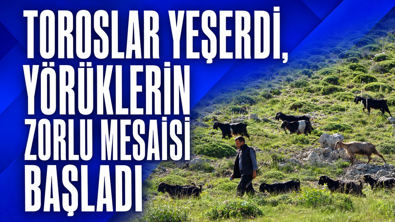 Toroslar yeşerdi, Yörüklerin zorlu mesaisi başladı