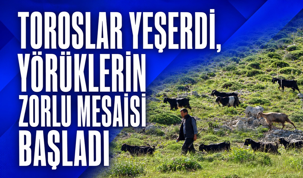 Toroslar yeşerdi, Yörüklerin zorlu mesaisi başladı
