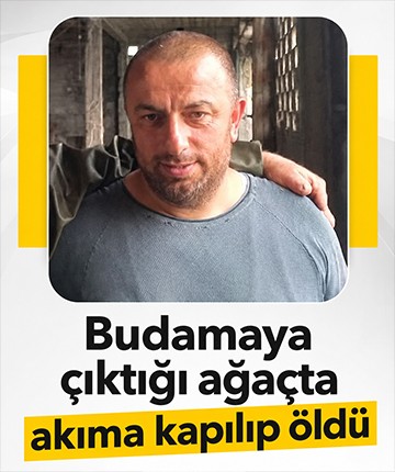 Budamaya çıktığı ağaçta akıma kapılıp öldü