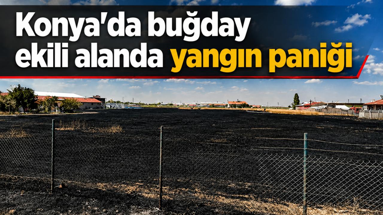 Konya'da buğday ekili alanda yangın paniği
