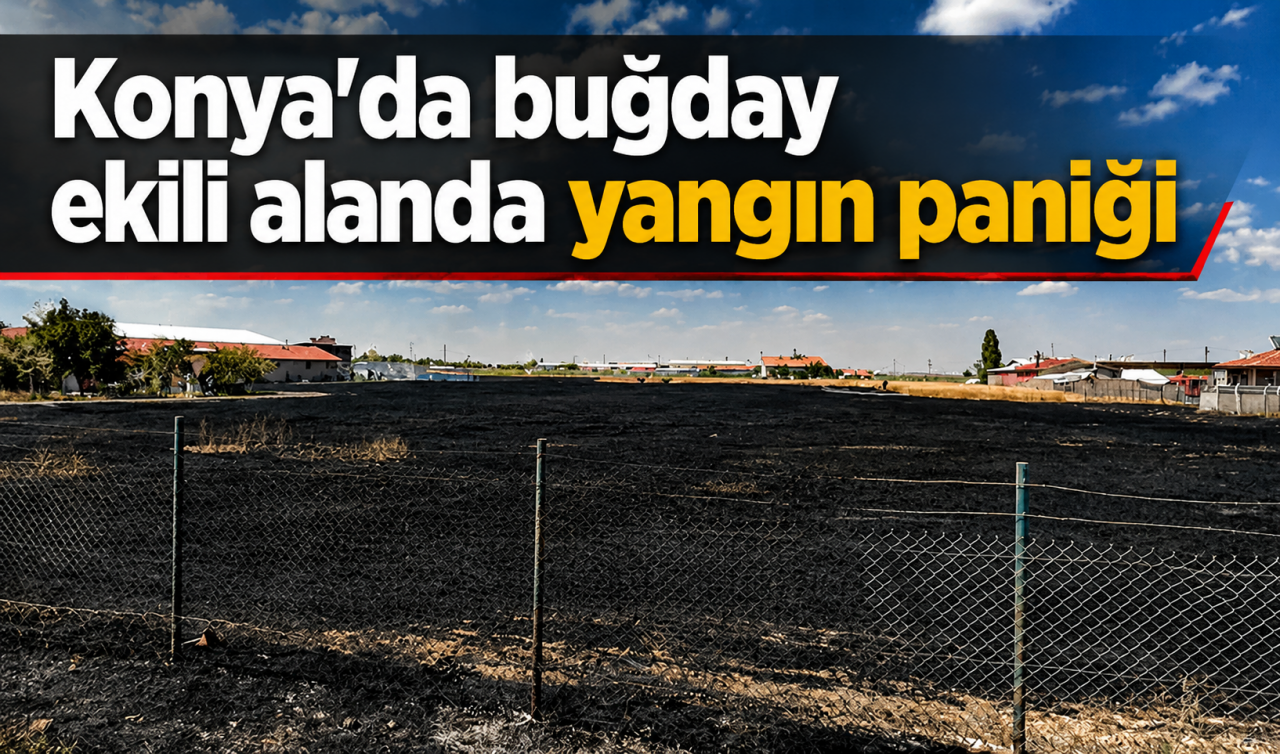 Konya'da buğday ekili alanda yangın paniği