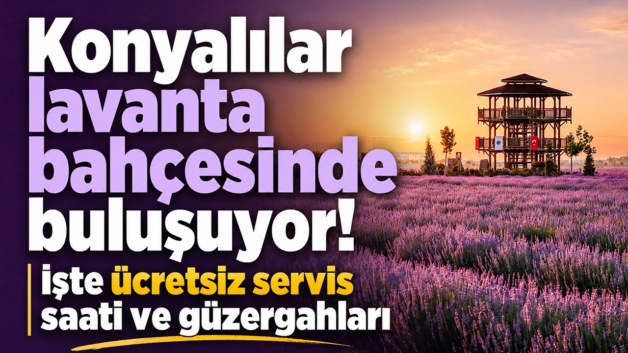 Konyalılar lavanta bahçesinde buluşuyor! İşte ücretsiz servis saati ve güzergahları