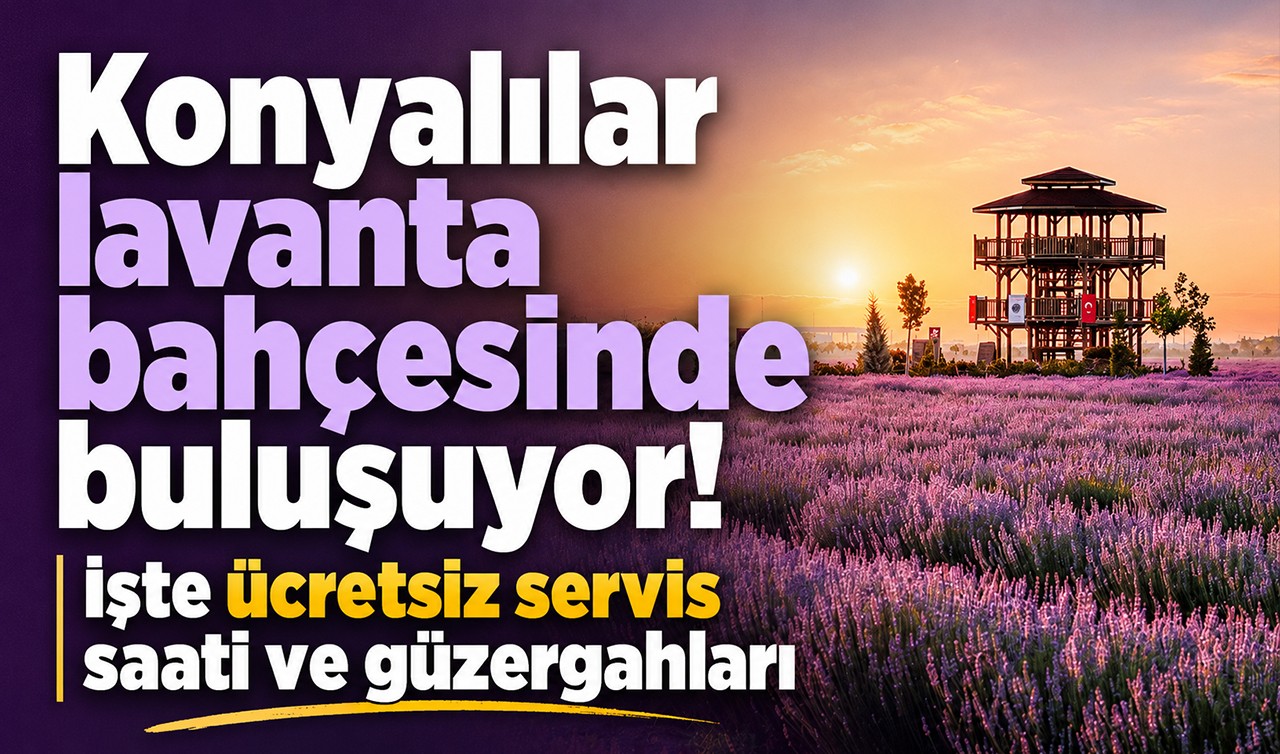 Konyalılar lavanta bahçesinde buluşuyor! İşte ücretsiz servis saati ve güzergahları