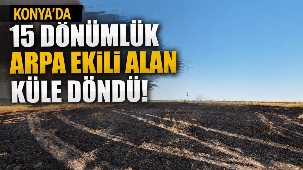 Konya'da 15 dönümlük arpa ekili alan küle döndü
