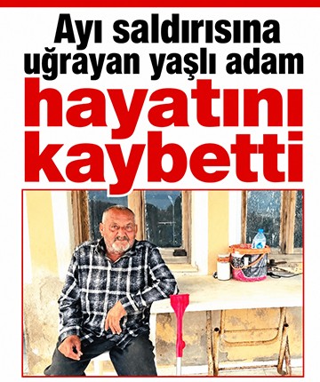Ayı saldırısına uğrayan yaşlı adam hayatını kaybetti
