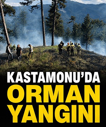 Kastamonu'da orman yangını