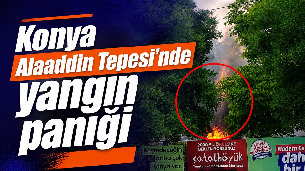Konya Alaaddin Tepesi'nde yangın paniği