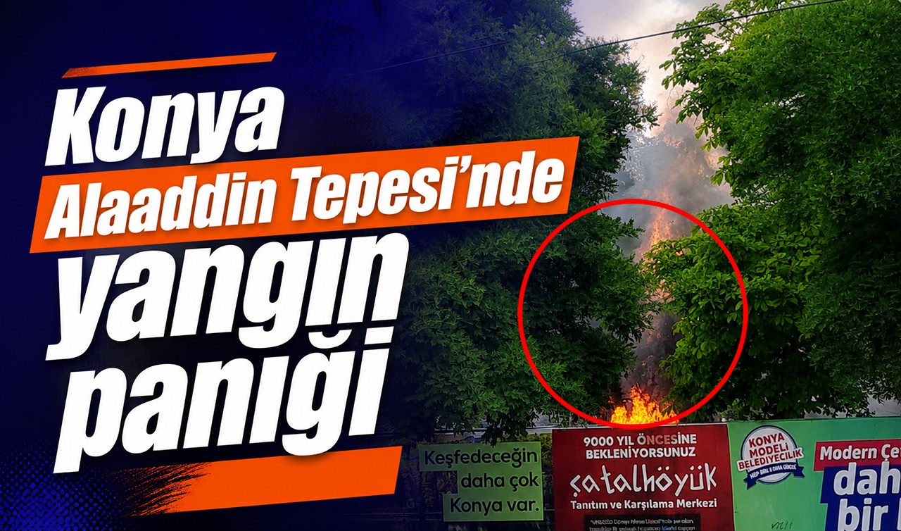 Konya Alaaddin Tepesi'nde yangın paniği