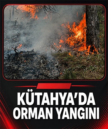 Kütahya'da orman yangını