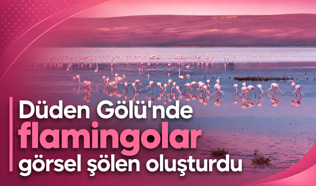 Düden Gölü'nde flamingolar görsel şölen oluşturdu