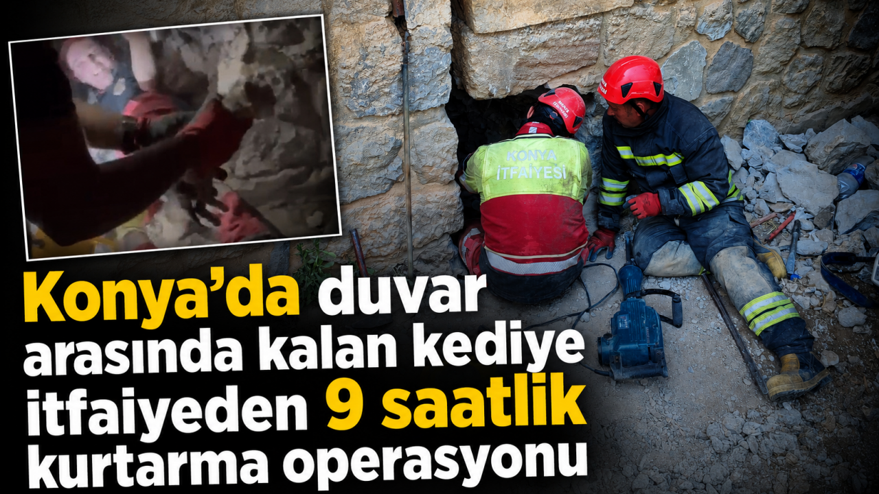 Konya’da duvar arasında kalan kediye itfaiyeden 9 saatlik kurtarma operasyonu