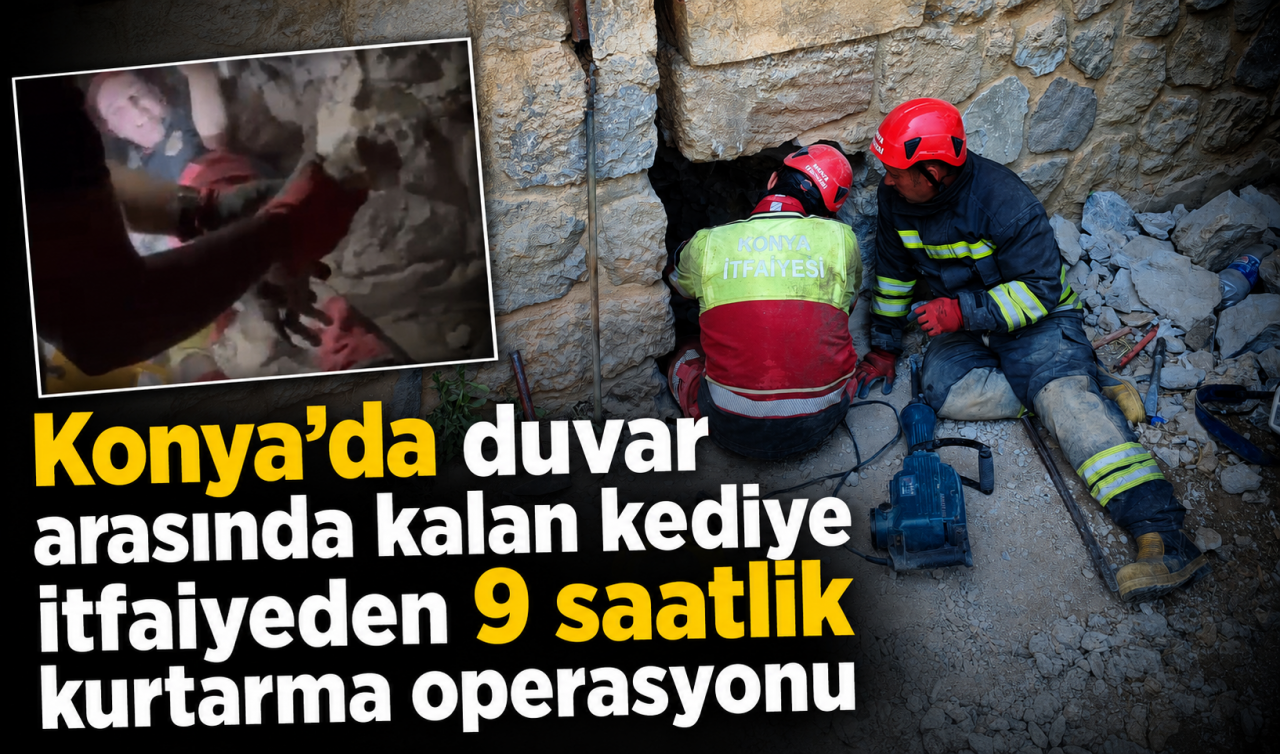 Konya’da duvar arasında kalan kediye itfaiyeden 9 saatlik kurtarma operasyonu