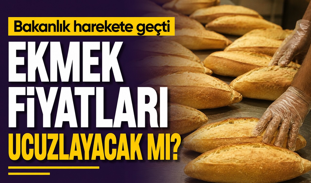 Ekmek fiyatları ucuzlayacak mı? Bakanlık harekete geçti