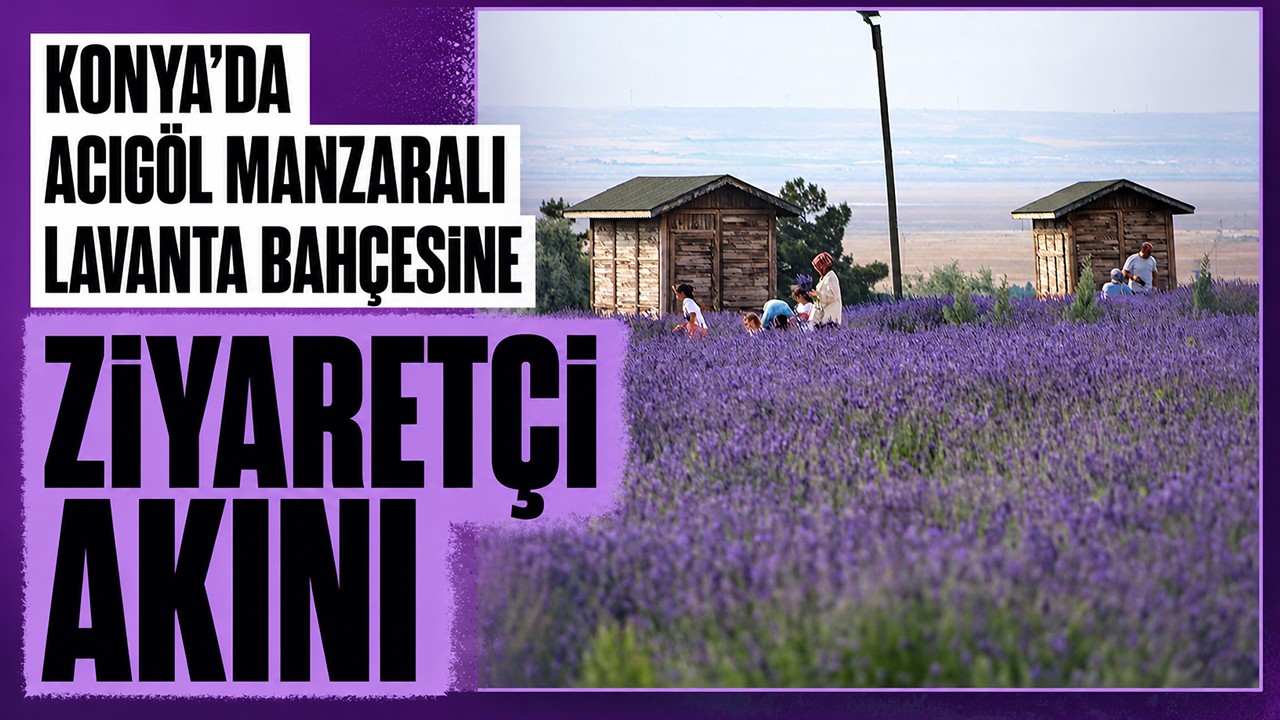 Konya'da Acıgöl manzaralı lavanta bahçesine ziyaretçi akını