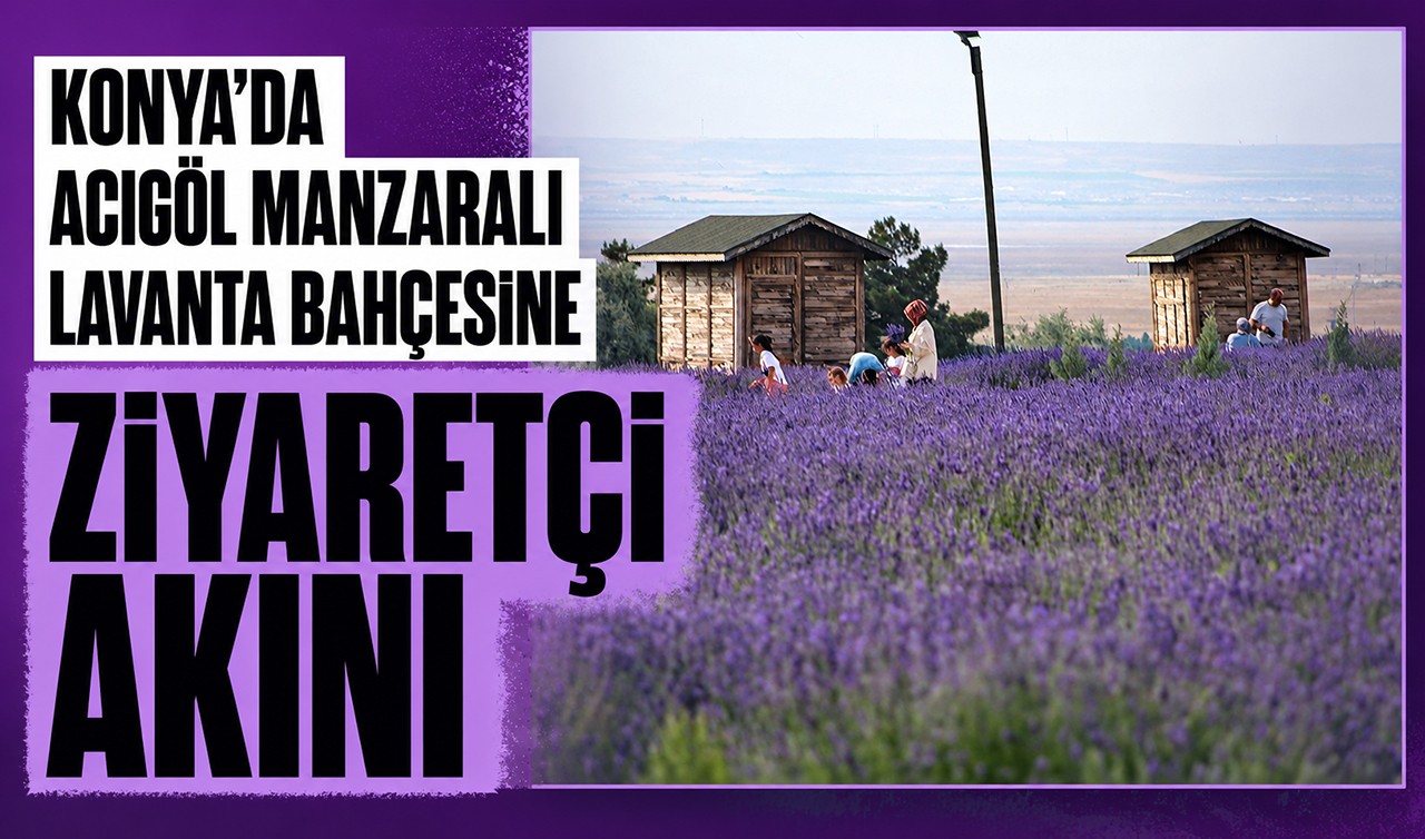 Konya'da Acıgöl manzaralı lavanta bahçesine ziyaretçi akını