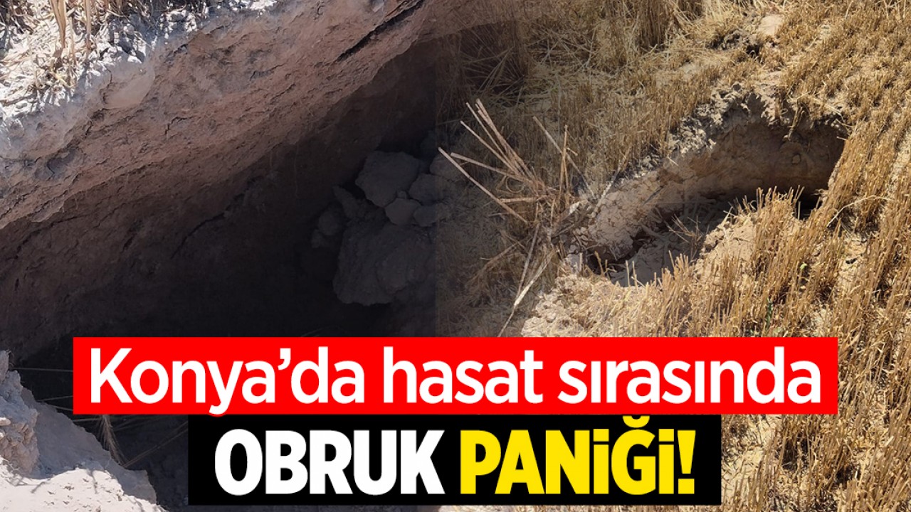Konya’da hasat sırasında obruk paniği!