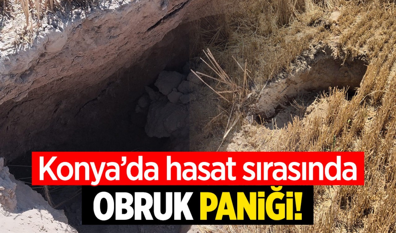 Konya’da hasat sırasında obruk paniği!