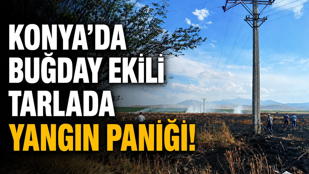 Konya'da buğday ekili tarlada yangın paniği!