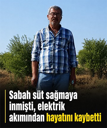 Sabah süt sağmaya inmişti, elektrik akımından hayatını kaybetti