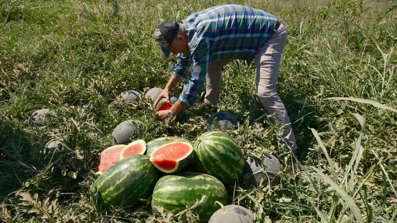 Sözleşme yaptığı firma ürünü almayınca 20 milyon lira zarar etti