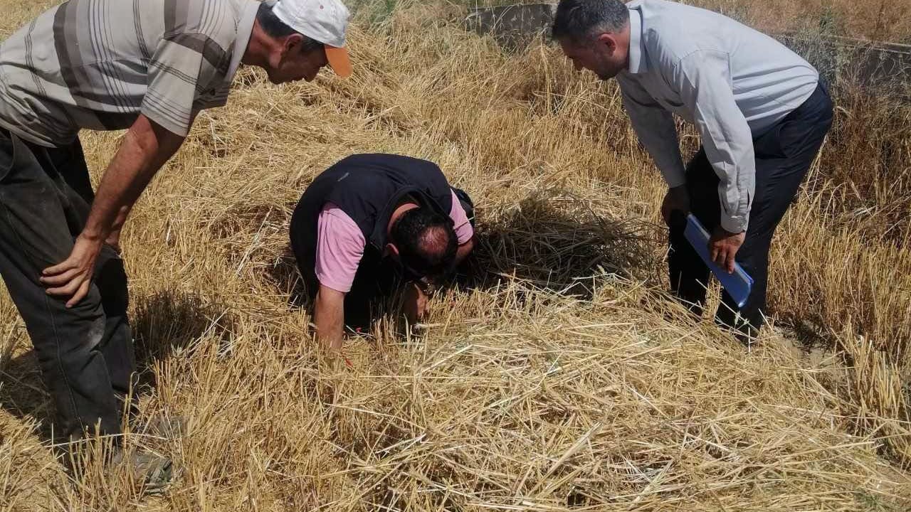Akşehir'de hasat denetimleri aralıksız sürüyor