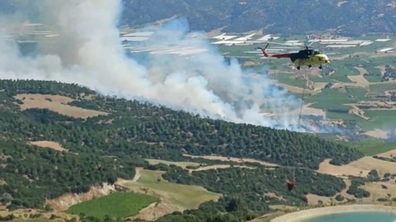 Manisa'da orman yangını