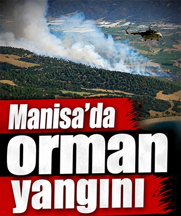 Manisa'da orman yangını