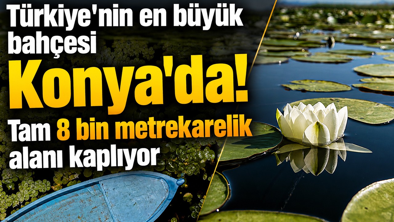 Türkiye'nin en büyük bahçesi Konya'da! Tam 8 bin metrekarelik alanı kaplıyor