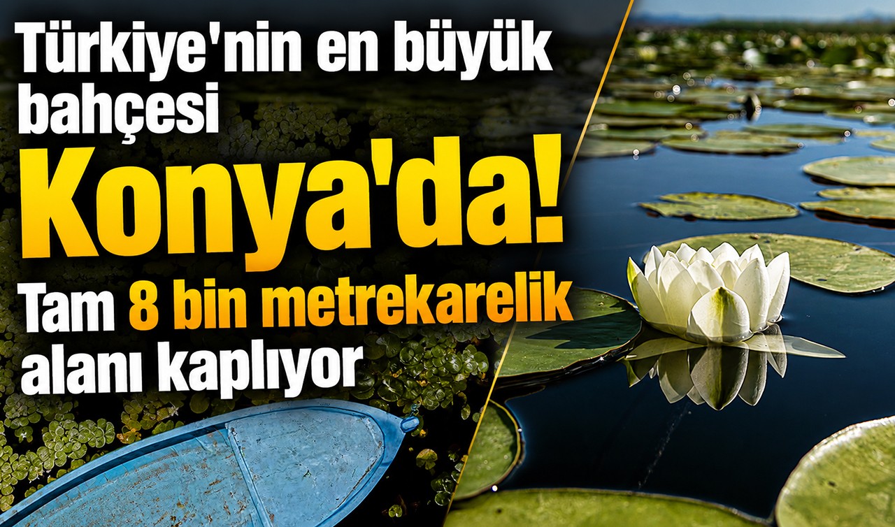 Türkiye'nin en büyük bahçesi Konya'da! Tam 8 bin metrekarelik alanı kaplıyor