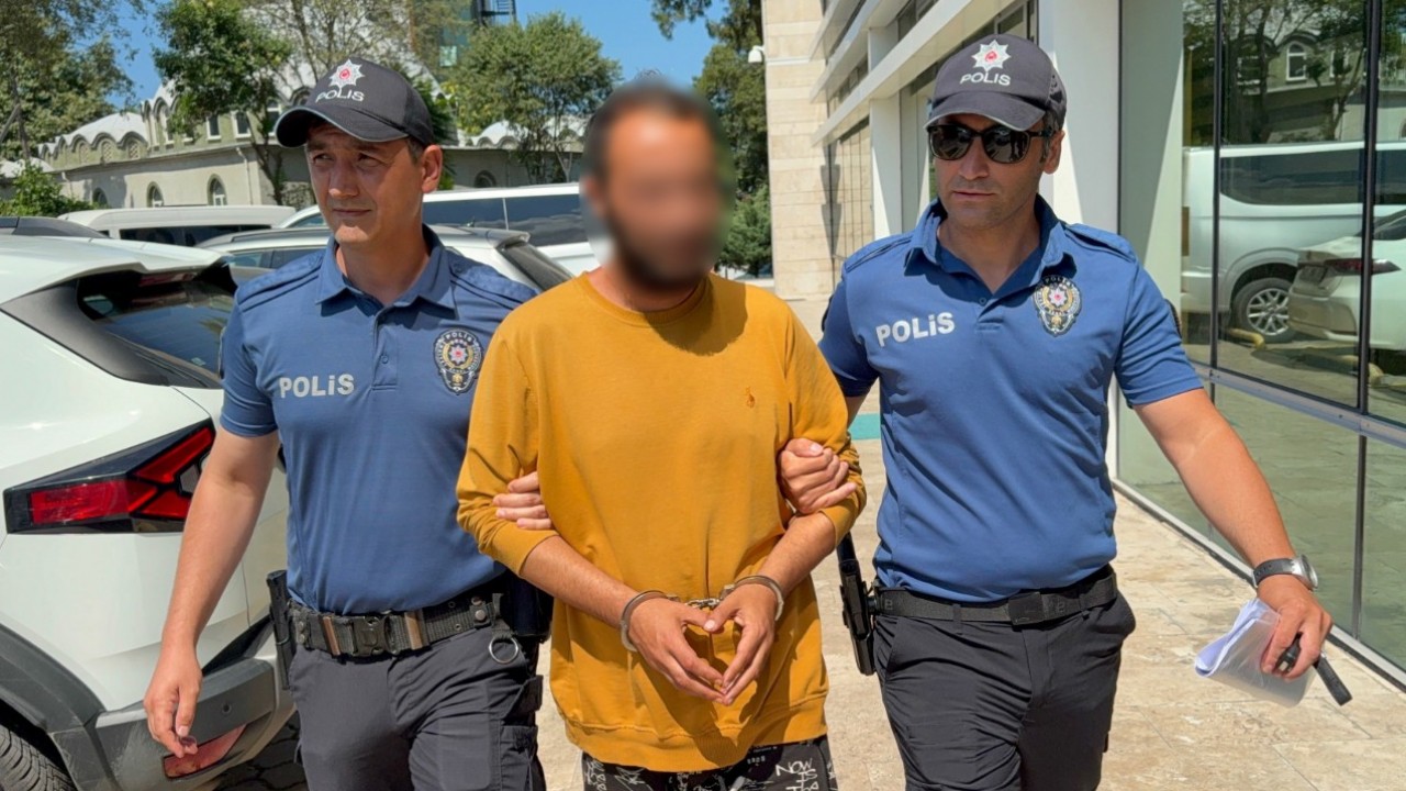 Kediye tekme atan şahıs tutuklandı: "Sinirliydim, pişmanım"