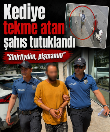 Kediye tekme atan şahıs tutuklandı: "Sinirliydim, pişmanım"