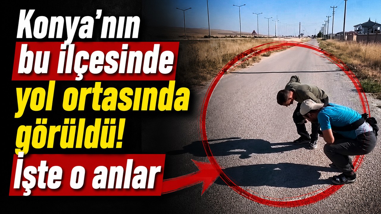 Konya'nın bu ilçesinde yol ortasında görüldü! İşte o anlar
