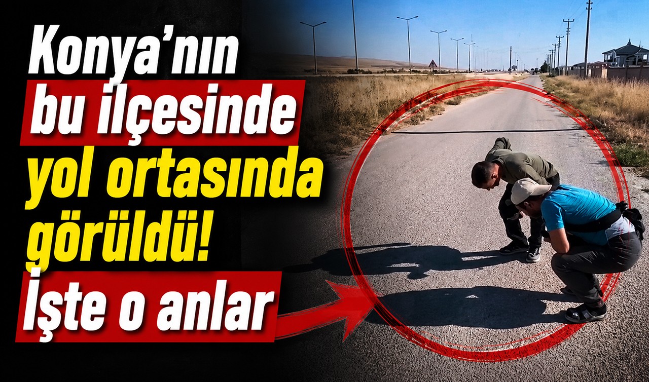 Konya'nın bu ilçesinde yol ortasında görüldü! İşte o anlar
