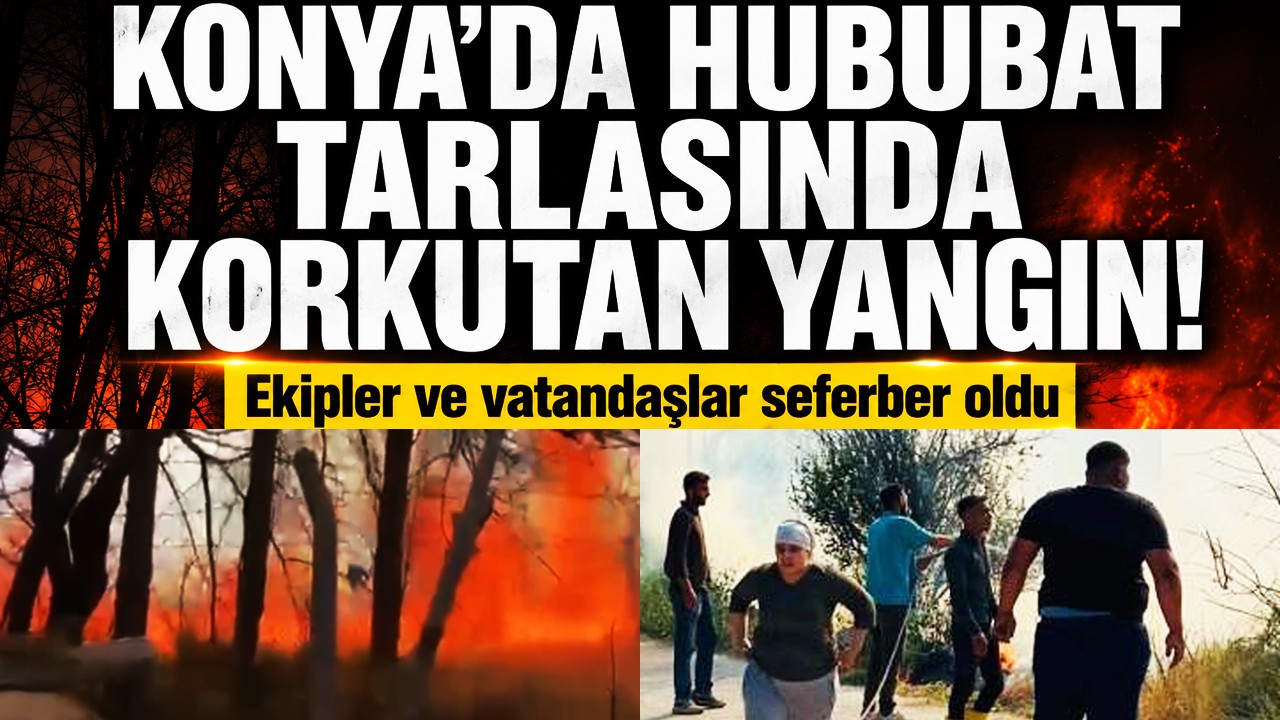 Konya'da hububat tarlasında korkutan yangın! Ekipler ve vatandaşlar seferber oldu