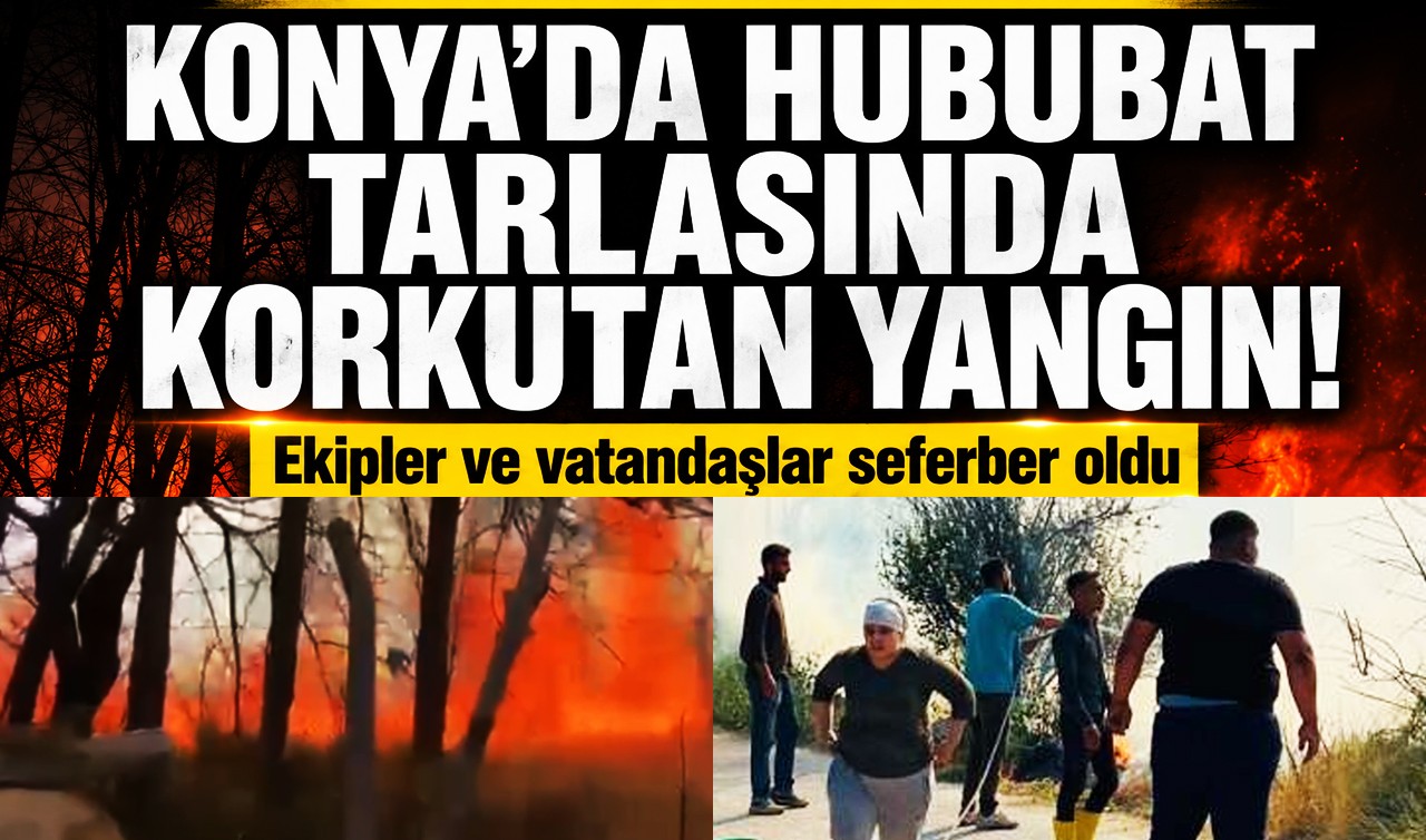 Konya'da hububat tarlasında korkutan yangın! Ekipler ve vatandaşlar seferber oldu