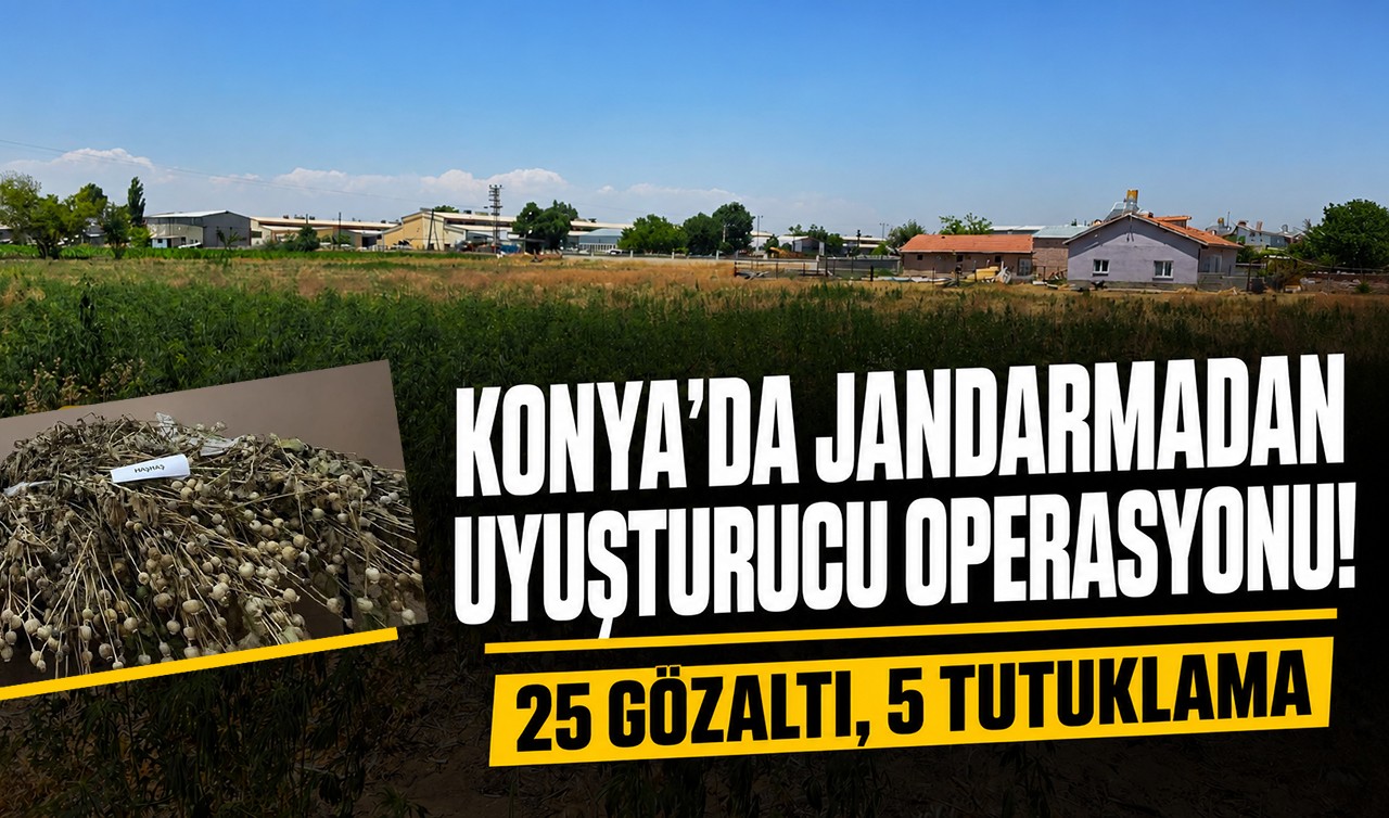 Konya'da jandarmadan uyuşturucu operasyonu! 25 gözaltı, 5 tutuklama