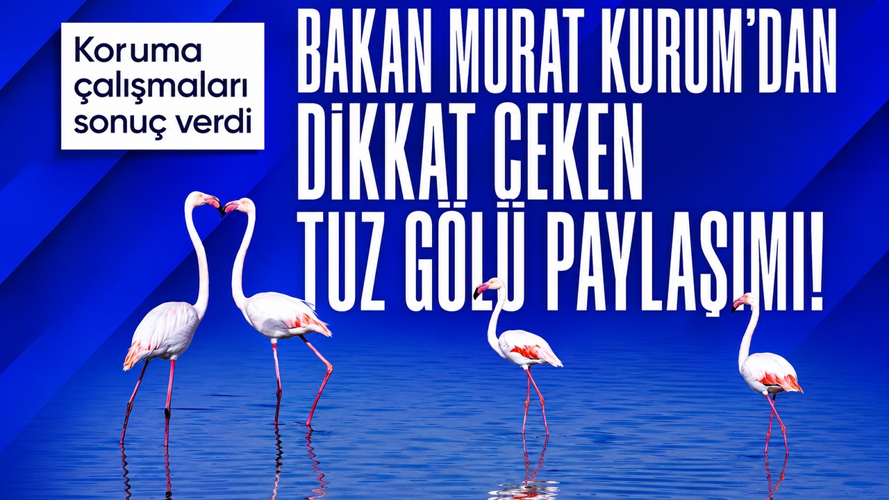 Bakan Murat Kurum'dan dikkat çeken Tuz Gölü paylaşım! Koruma çalışmaları sonuç verdi