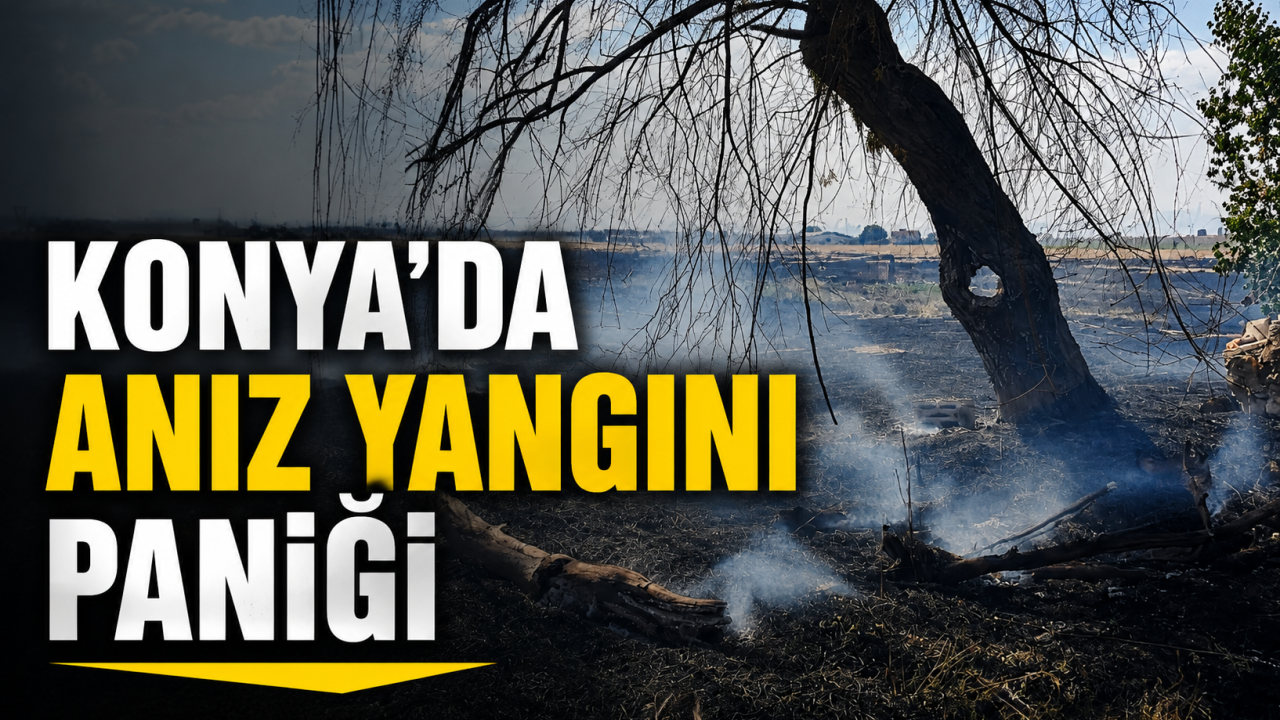 Konya’da anız yangını paniği