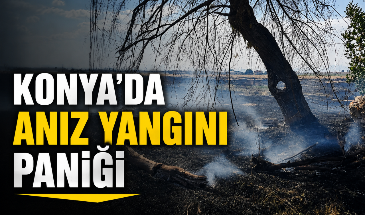 Konya’da anız yangını paniği