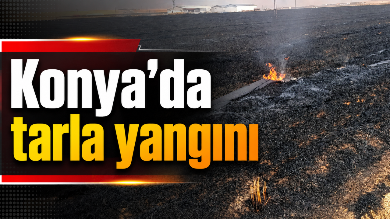 Konya'da tarla yangını