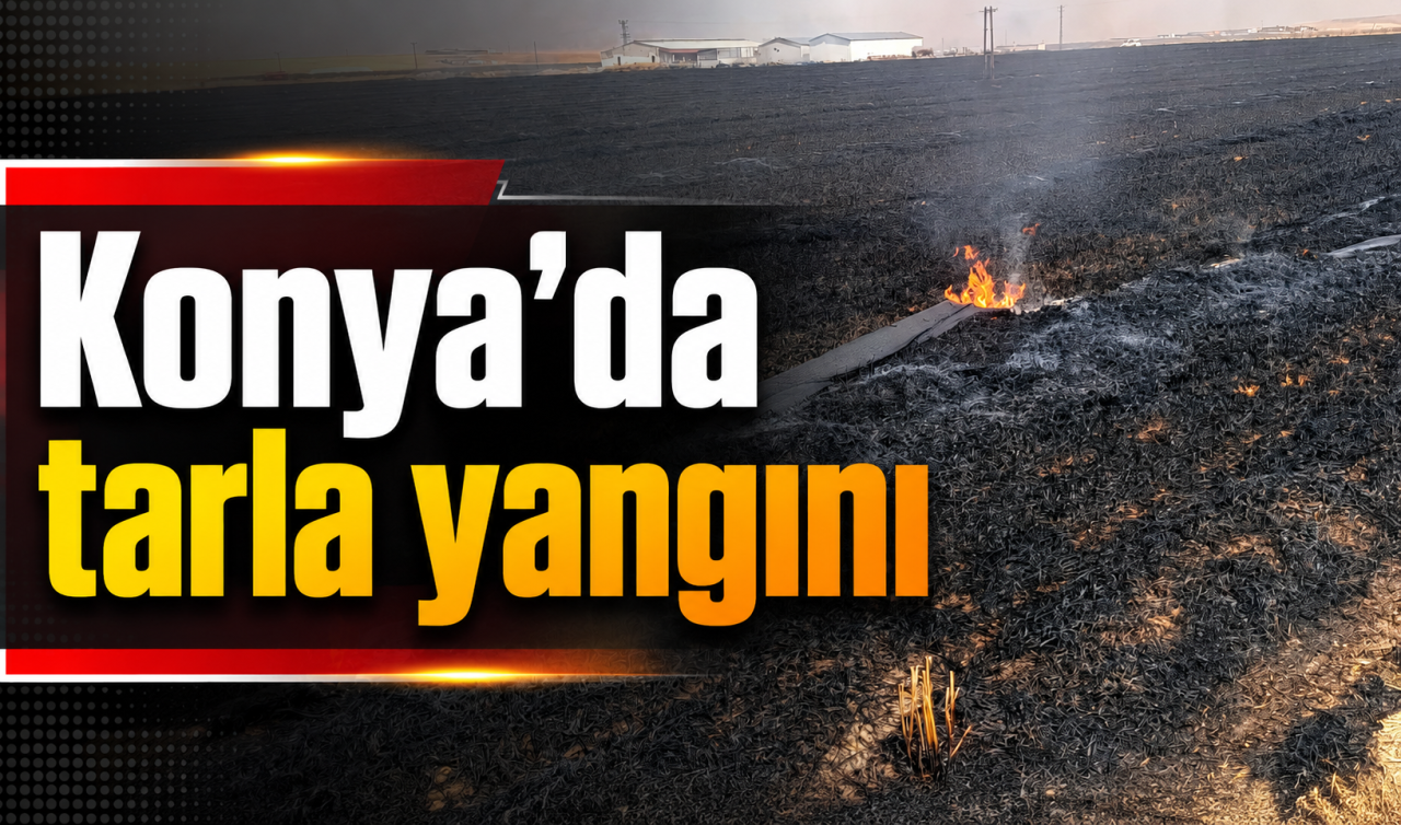 Konya'da tarla yangını