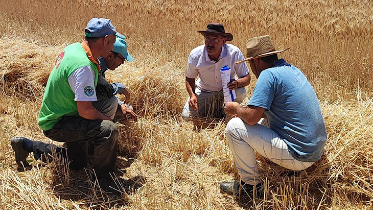 Ilgın’da biçerdöver denetimleri sürüyor: Hasat sezonu boyunca kontroller devam edecek