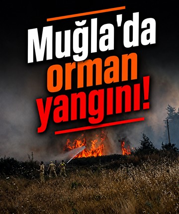 Muğla'da orman yangını!
