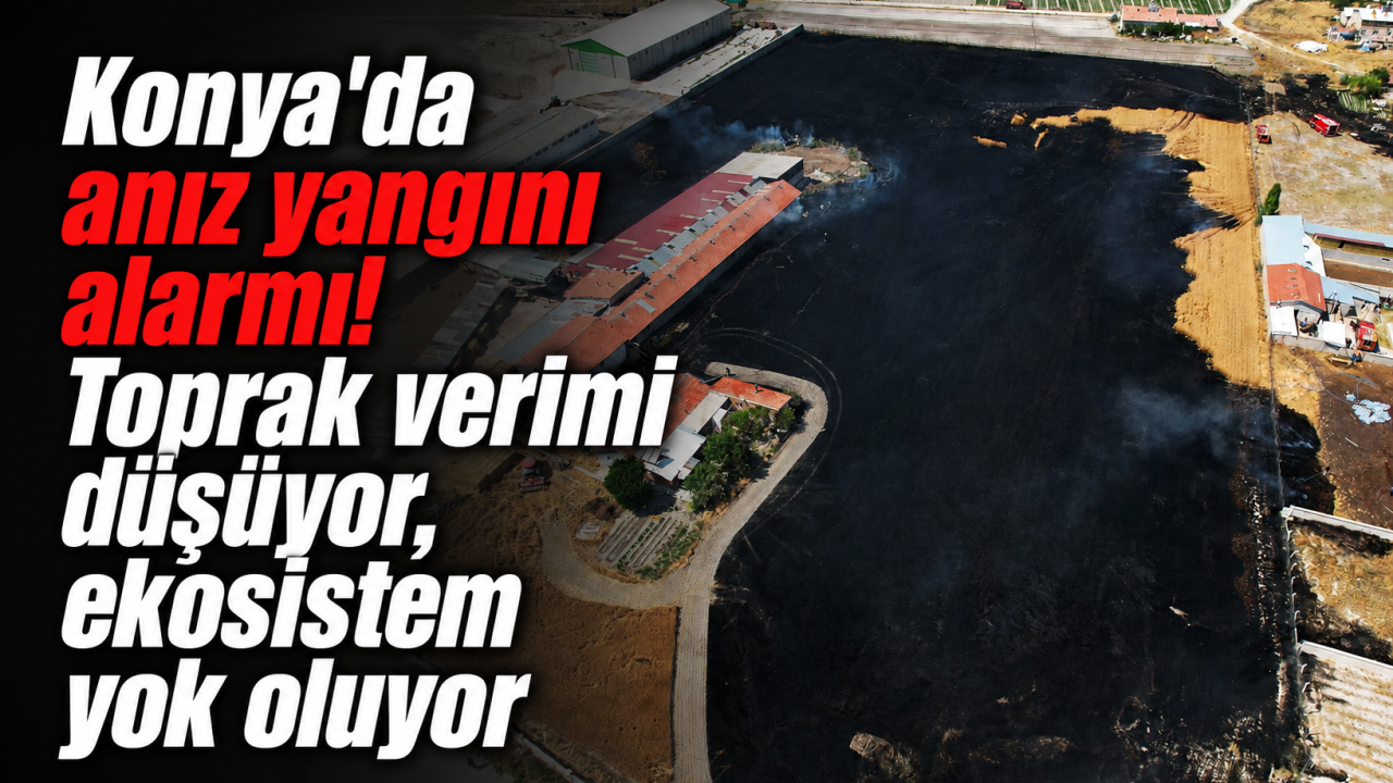 Konya’da anız yangını alarmı! Toprak verimi düşüyor, ekosistem yok oluyor
