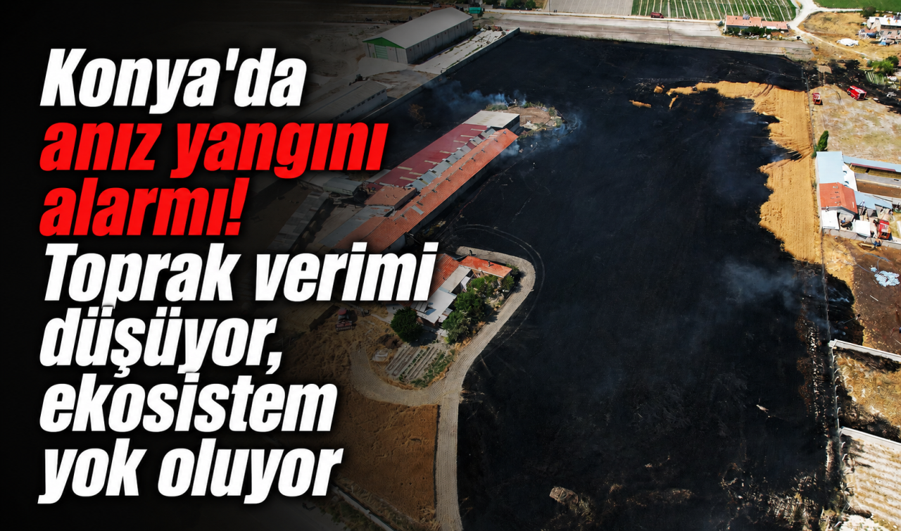 Konya’da anız yangını alarmı! Toprak verimi düşüyor, ekosistem yok oluyor