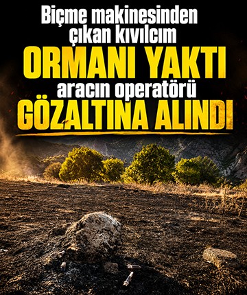 Biçme makinesinden çıkan kıvılcım ormanı yaktı, aracın operatörü gözaltına alındı