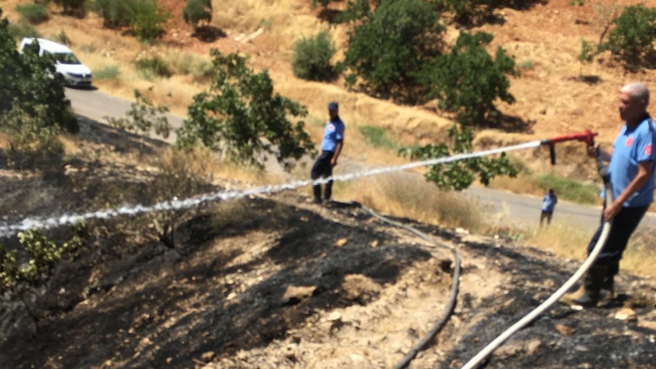 Fıstık tarlasındaki yangına müdahale ederken hayatını kaybetti