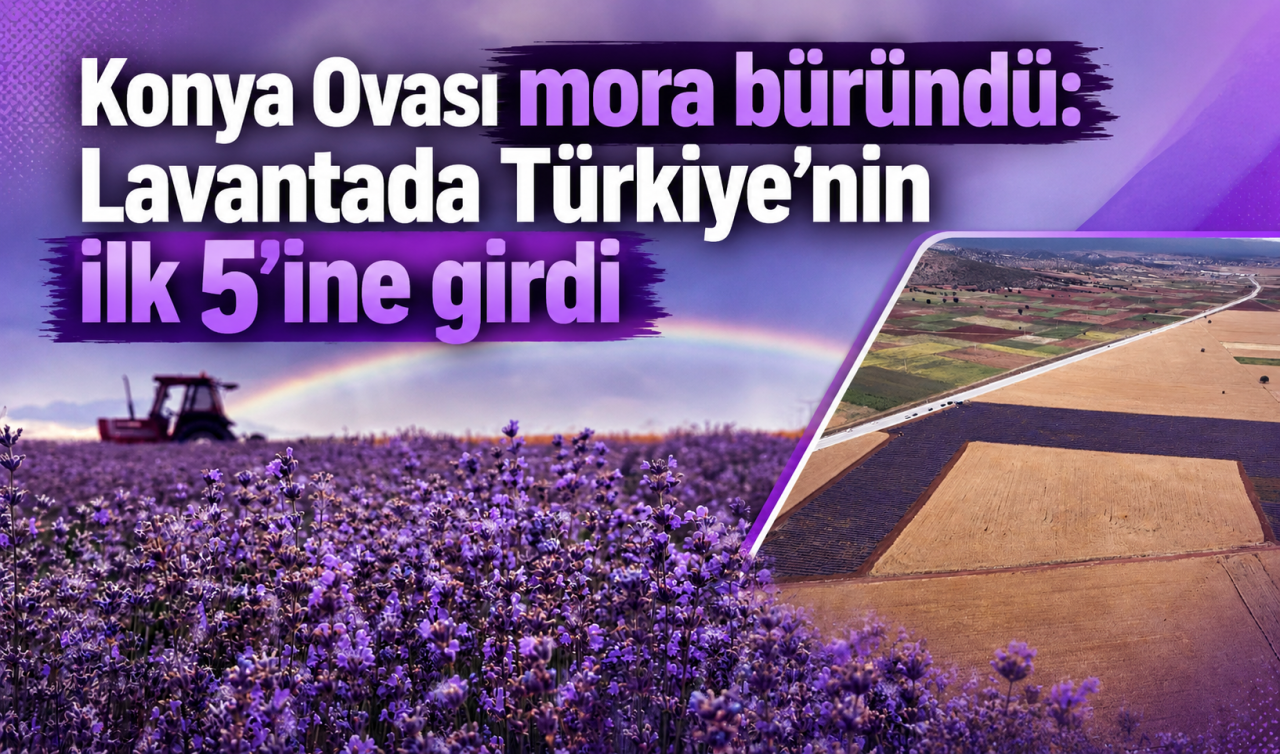 Konya Ovası mora büründü: Lavantada Türkiye’nin ilk 5’ine girdi